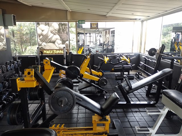 POWER TRAINER GYM