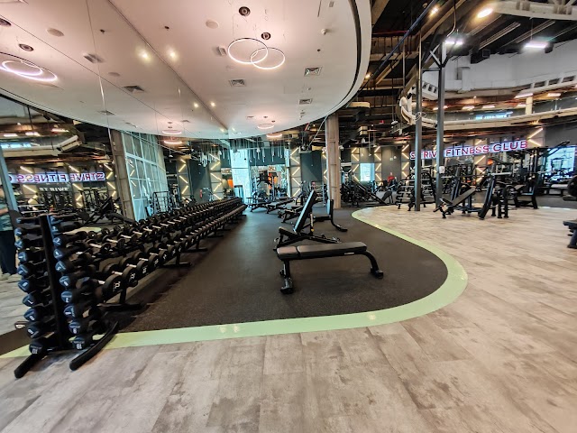 Strive Fitness Club
