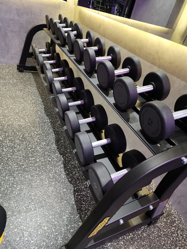 Fitness Coach