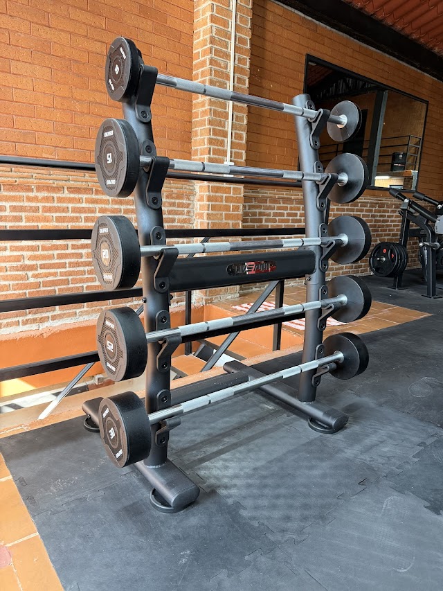 Friedrich Strength Hub