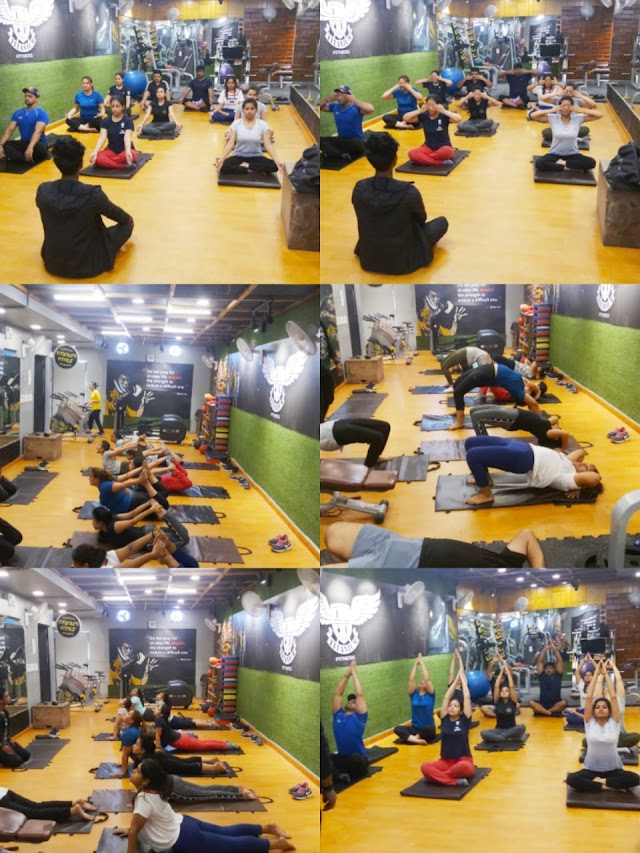 Fitvibs.com personal training Home & gym