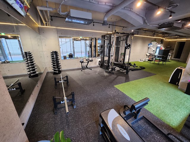 GYM WORLD