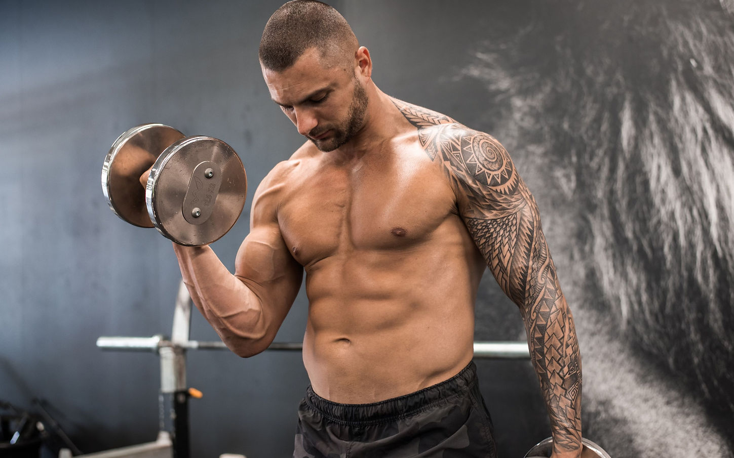 Primal Strength & Conditioning