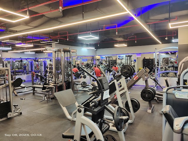 Power Conquest GYM