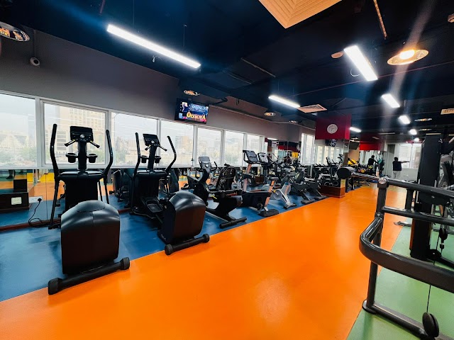 Back to Fit Gym