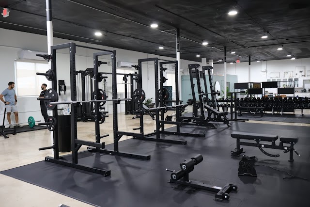CV Studio Miami