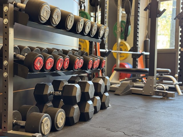 Synergym - Personal Training Zürich